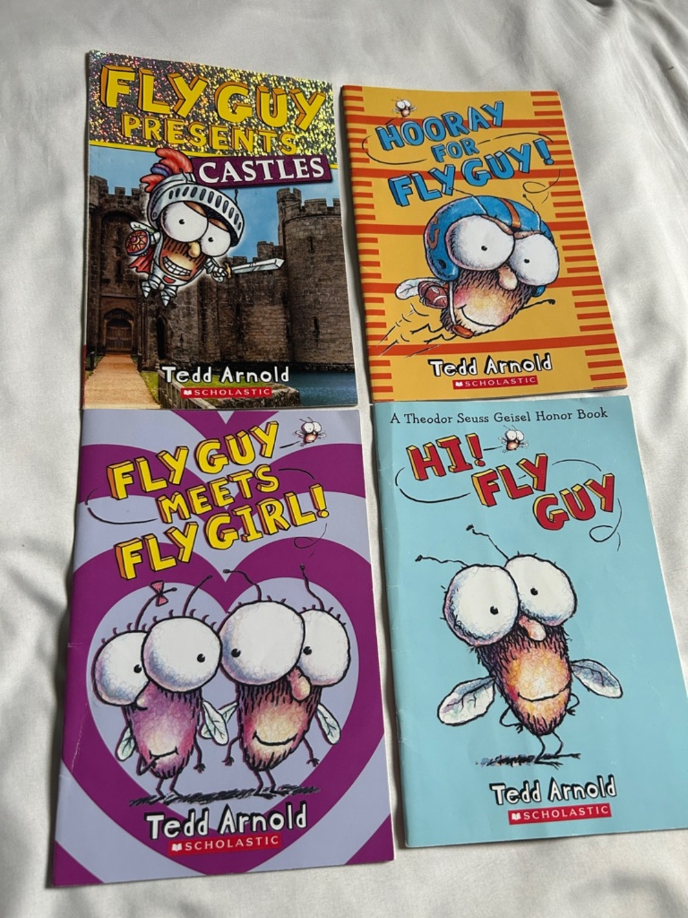 💲SUPERSALE💲fly guy book lot by Tedd Arnold